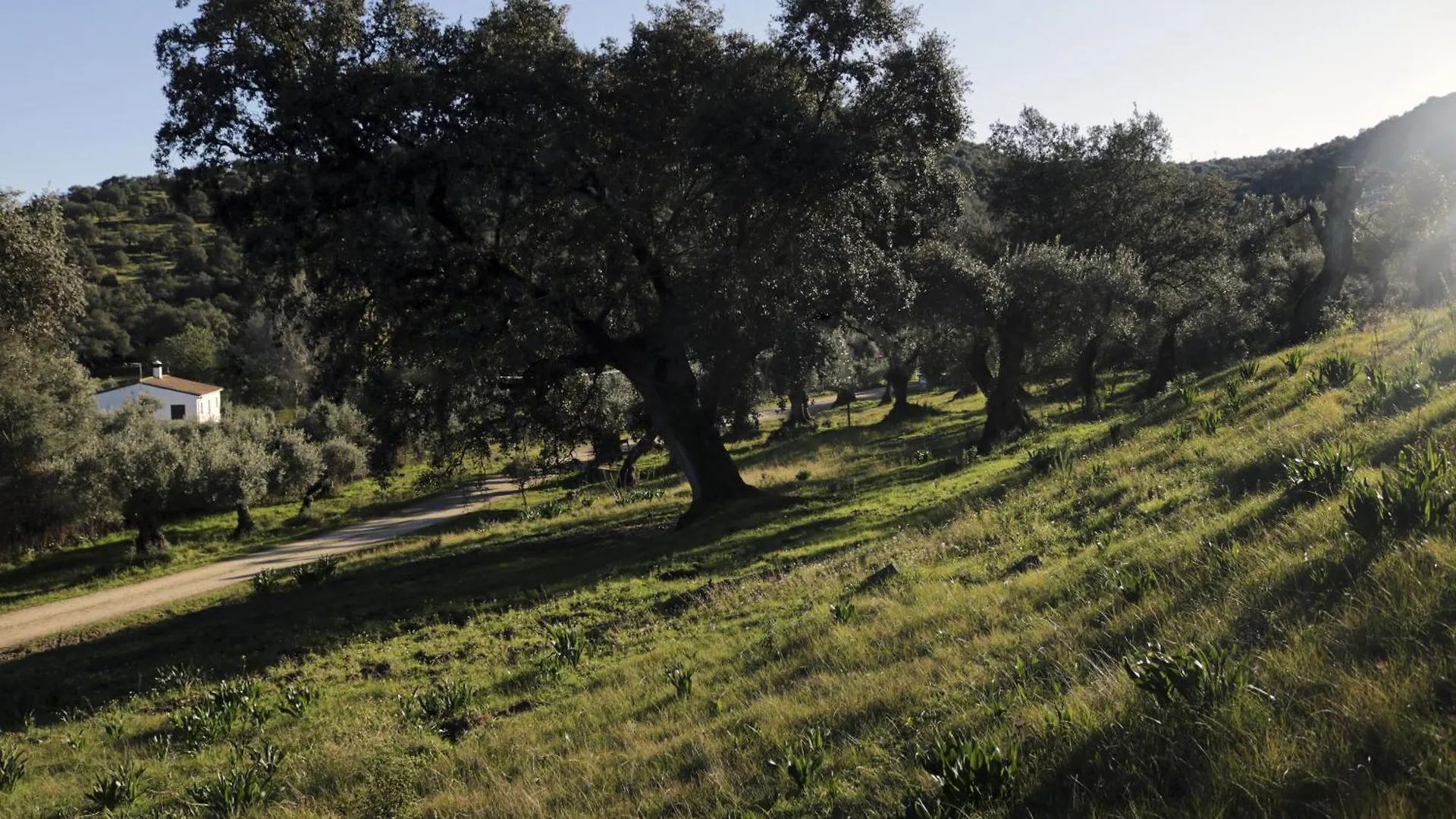 Finca Ecologica Morera Aroche 0*,