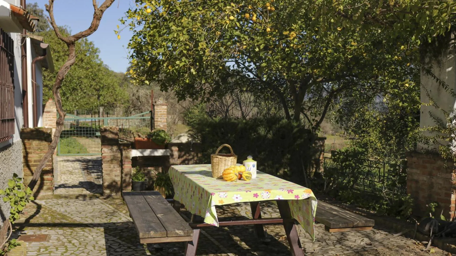 Finca Ecologica Morera Aroche Spain