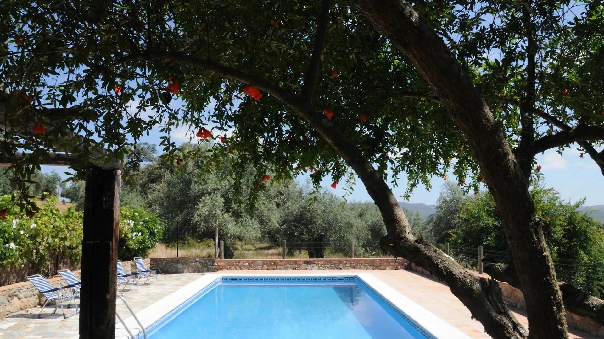 Holiday home Finca Ecologica Morera Aroche